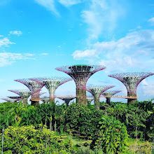 Singapore Bus Charter